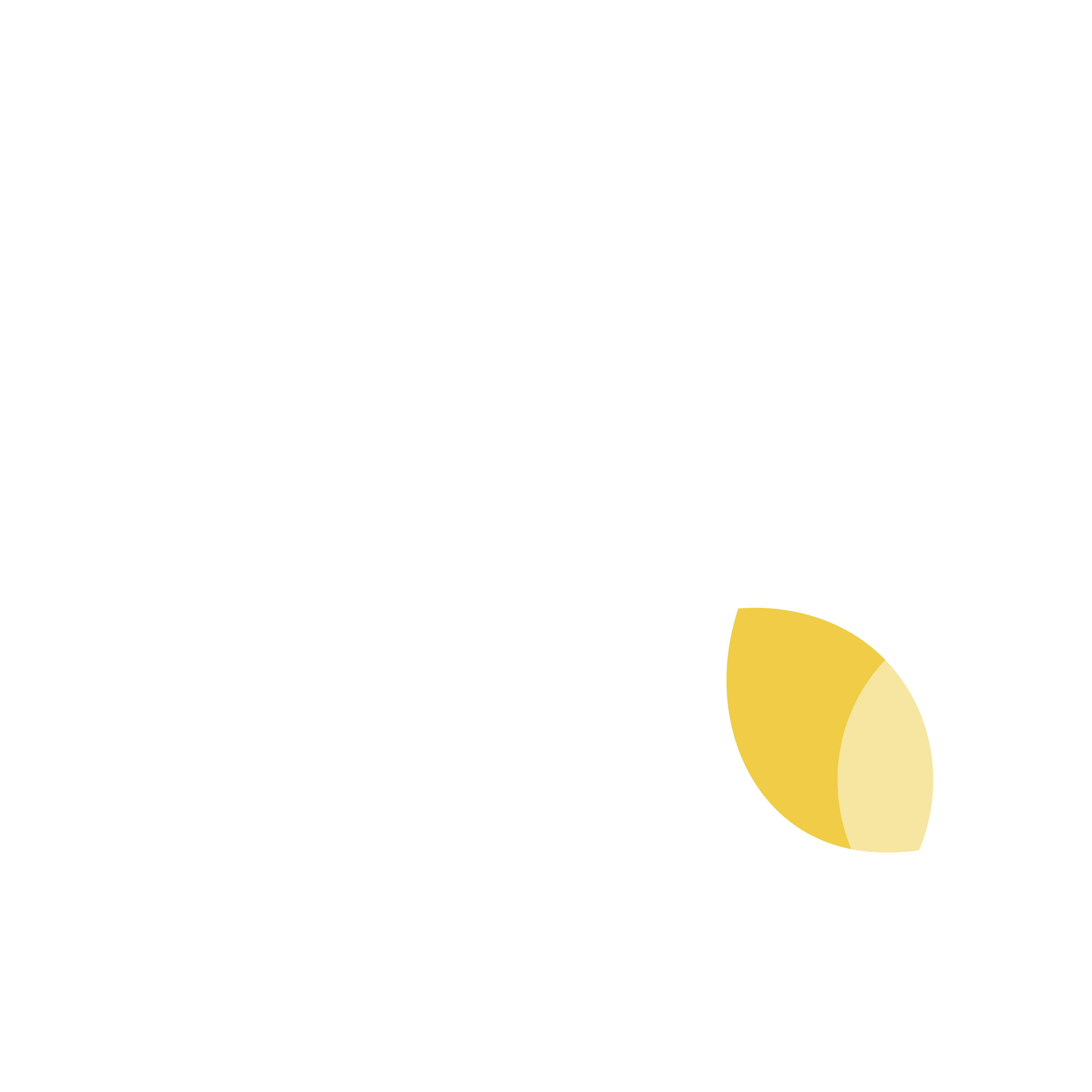 Basco&T Consulting